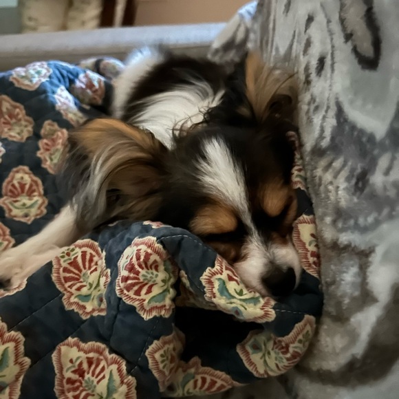 Meet your Posher, Nancy - Picture 5 of 6